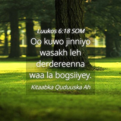 Picture 04 - Luukos 6:18 SOM - Oo kuwo jinniyo wasakh leh derdereenna waa la - Bible Verse Picture