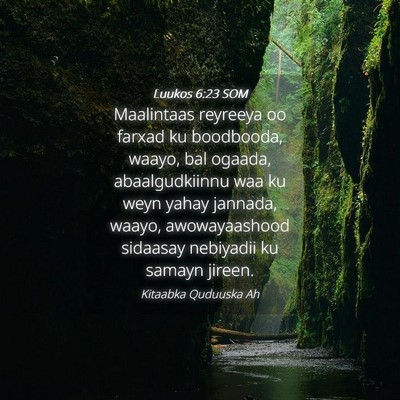 Picture 04 - Luukos 6:23 SOM - Maalintaas reyreeya oo farxad ku boodbooda, - Bible Verse Picture