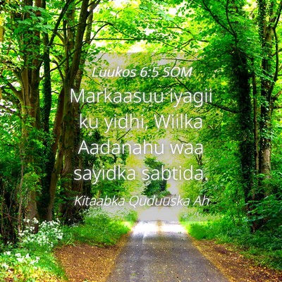 Picture 04 - Luukos 6:5 SOM - Markaasuu iyagii ku yidhi, Wiilka Aadanahu waa - Bible Verse Picture