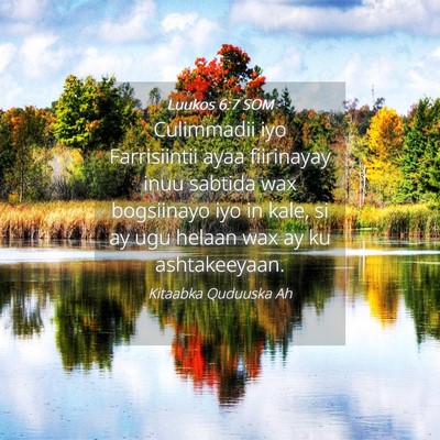 Picture 04 - Luukos 6:7 SOM - Culimmadii iyo Farrisiintii ayaa fiirinayay inuu - Bible Verse Picture
