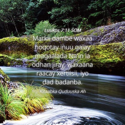 Picture 04 - Luukos 7:11 SOM - Markii dambe waxaa noqotay inuu galay magaalada - Bible Verse Picture