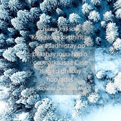 Picture 04 - Luukos 7:15 SOM - Kolkaasaa kii dhintay sara fadhiistay oo bilaabay - Bible Verse Picture