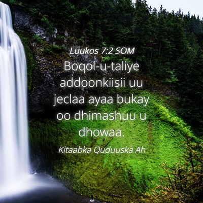 Picture 04 - Luukos 7:2 SOM - Boqol-u-taliye addoonkiisii uu jeclaa ayaa bukay - Bible Verse Picture