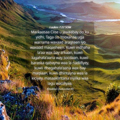 Picture 04 - Luukos 7:22 SOM - Markaasaa Ciise u jawaabay oo ku yidhi, Taga oo - Bible Verse Picture