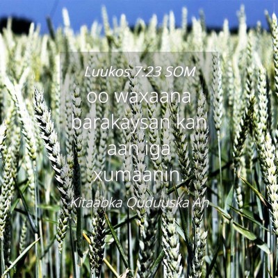 Picture 04 - Luukos 7:23 SOM - oo waxaana barakaysan kan aan iga - Bible Verse Picture