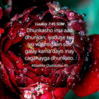 Picture 04 - Luukos 7:45 SOM - Dhunkasho ima aad dhunkan, iyaduse tan iyo - Bible Verse Picture