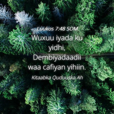 Picture 04 - Luukos 7:48 SOM - Wuxuu iyada ku yidhi, Dembiyadaadii waa cafiyan - Bible Verse Picture