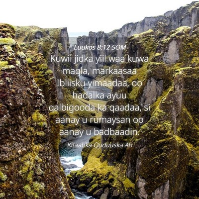 Picture 04 - Luukos 8:12 SOM - Kuwii jidka yiil waa kuwa maqla, markaasaa - Bible Verse Picture