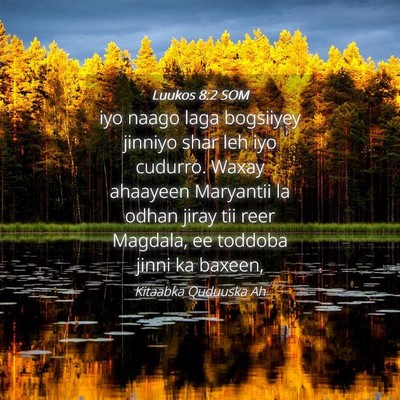 Picture 04 - Luukos 8:2 SOM - iyo naago laga bogsiiyey jinniyo shar leh iyo - Bible Verse Picture
