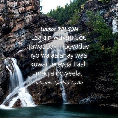 Picture 04 - Luukos 8:21 SOM - Laakiin wuxuu ugu jawaabay, Hooyaday iyo - Bible Verse Picture