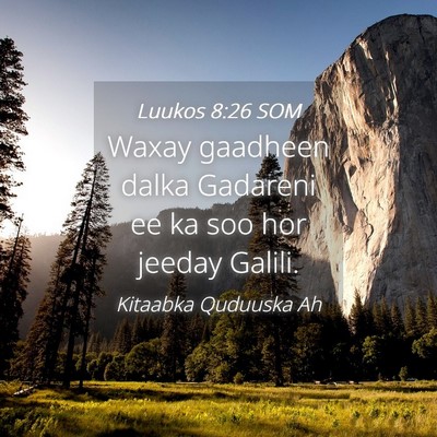 Picture 04 - Luukos 8:26 SOM - Waxay gaadheen dalka Gadareni ee ka soo hor - Bible Verse Picture