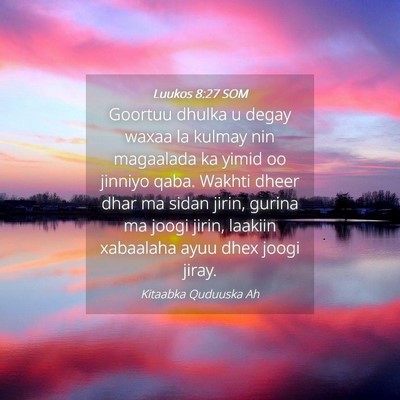 Picture 04 - Luukos 8:27 SOM - Goortuu dhulka u degay waxaa la kulmay nin - Bible Verse Picture