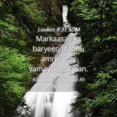 Picture 04 - Luukos 8:31 SOM - Markaasay ka baryeen inaanu amrin inay yamayska - Bible Verse Picture