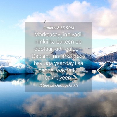 Picture 04 - Luukos 8:33 SOM - Markaasay jinniyadii ninkii ka baxeen oo - Bible Verse Picture