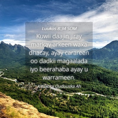 Picture 04 - Luukos 8:34 SOM - Kuwii daajin jiray markay arkeen waxa dhacay, - Bible Verse Picture