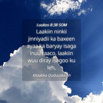 Picture 04 - Luukos 8:38 SOM - Laakiin ninkii jinniyadii ka baxeen ayaa ka - Bible Verse Picture
