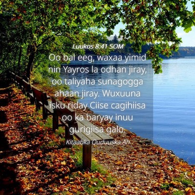 Picture 04 - Luukos 8:41 SOM - Oo bal eeg, waxaa yimid nin Yayros la odhan - Bible Verse Picture