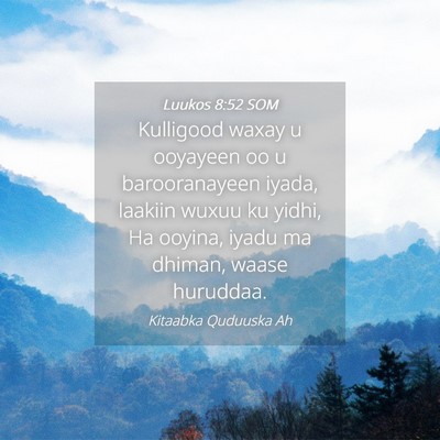 Picture 04 - Luukos 8:52 SOM - Kulligood waxay u ooyayeen oo u barooranayeen - Bible Verse Picture