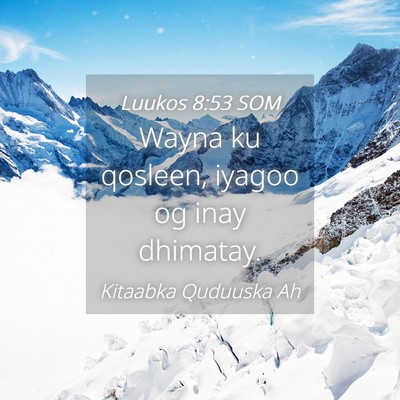 Picture 04 - Luukos 8:53 SOM - Wayna ku qosleen, iyagoo og inay - Bible Verse Picture