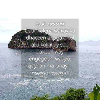 Picture 04 - Luukos 8:6 SOM - Qaar kalena waxay ku dhaceen dhagax; kol alla - Bible Verse Picture
