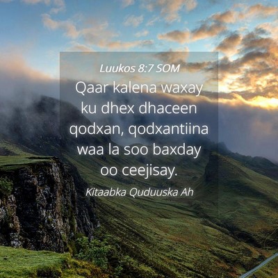 Picture 04 - Luukos 8:7 SOM - Qaar kalena waxay ku dhex dhaceen qodxan, - Bible Verse Picture