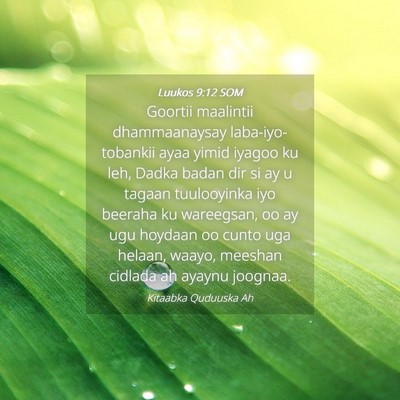 Picture 04 - Luukos 9:12 SOM - Goortii maalintii dhammaanaysay laba-iyo-tobankii - Bible Verse Picture