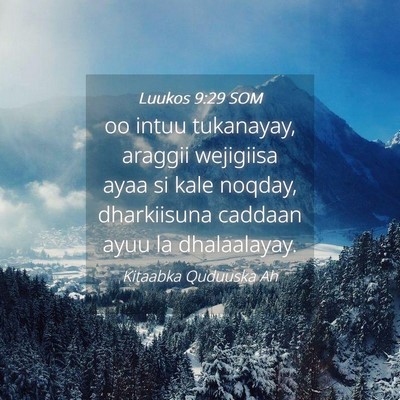 Picture 04 - Luukos 9:29 SOM - oo intuu tukanayay, araggii wejigiisa ayaa si - Bible Verse Picture