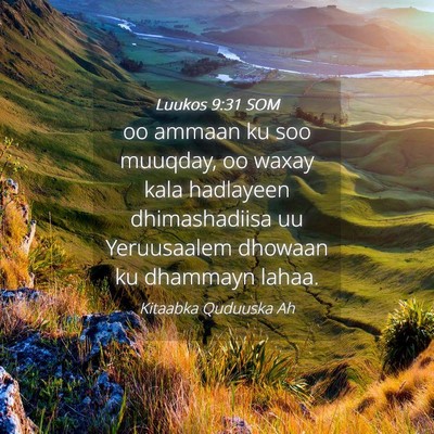 Picture 04 - Luukos 9:31 SOM - oo ammaan ku soo muuqday, oo waxay kala hadlayeen - Bible Verse Picture