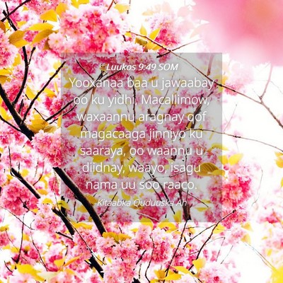 Picture 04 - Luukos 9:49 SOM - Yooxanaa baa u jawaabay oo ku yidhi, Macallimow, - Bible Verse Picture