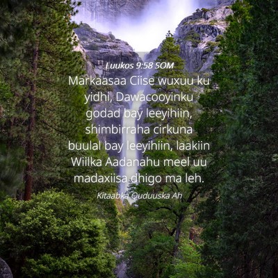Picture 04 - Luukos 9:58 SOM - Markaasaa Ciise wuxuu ku yidhi, Dawacooyinku - Bible Verse Picture