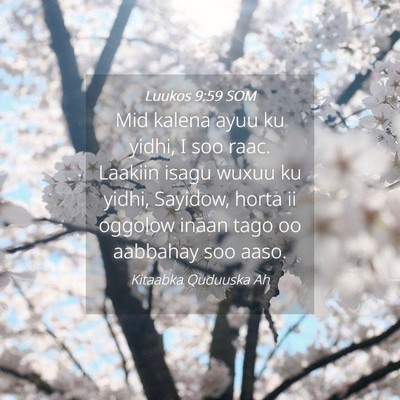 Picture 04 - Luukos 9:59 SOM - Mid kalena ayuu ku yidhi, I soo raac. Laakiin - Bible Verse Picture