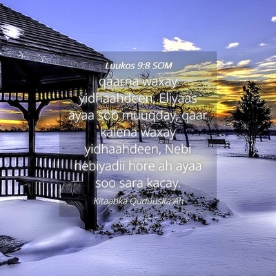 Picture 04 - Luukos 9:8 SOM - qaarna waxay yidhaahdeen, Eliyaas ayaa soo - Bible Verse Picture
