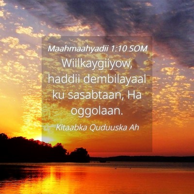 Picture 04 - Maahmaahyadii 1:10 SOM - Wiilkaygiiyow, haddii dembilayaal ku sasabtaan, - Bible Verse Picture