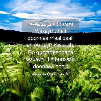 Picture 04 - Maahmaahyadii 1:13 SOM - Waxaynu heli doonnaa maal qaali ah oo cayn kasta - Bible Verse Picture