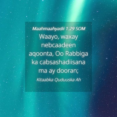 Picture 04 - Maahmaahyadii 1:29 SOM - Waayo, waxay nebcaadeen aqoonta, Oo Rabbiga ka - Bible Verse Picture