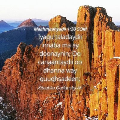 Picture 04 - Maahmaahyadii 1:30 SOM - Iyagu taladaydii innaba ma ay doonaynin; Oo - Bible Verse Picture
