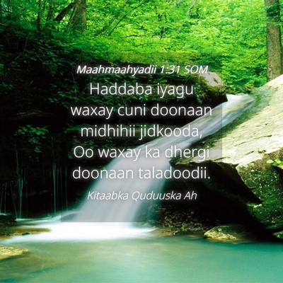 Picture 04 - Maahmaahyadii 1:31 SOM - Haddaba iyagu waxay cuni doonaan midhihii - Bible Verse Picture