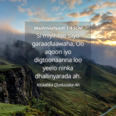 Picture 04 - Maahmaahyadii 1:4 SOM - Si miyir loo siiyo garaadlaawaha, Oo aqoon iyo - Bible Verse Picture
