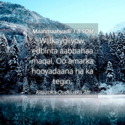 Picture 04 - Maahmaahyadii 1:8 SOM - Wiilkaygiiyow, edbinta aabbahaa maqal, Oo amarka - Bible Verse Picture