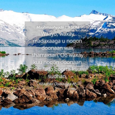 Picture 04 - Maahmaahyadii 1:9 SOM - Waayo, waxay madaxaaga u noqon doonaan wax - Bible Verse Picture