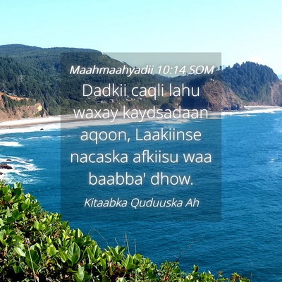 Picture 04 - Maahmaahyadii 10:14 SOM - Dadkii caqli lahu waxay kaydsadaan aqoon, - Bible Verse Picture
