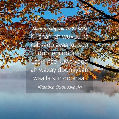 Picture 04 - Maahmaahyadii 10:24 SOM - Kii shar leh wuxuu ka cabsado ayaa ku soo dul - Bible Verse Picture