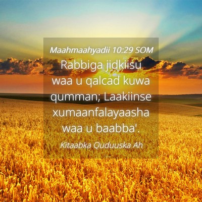 Picture 04 - Maahmaahyadii 10:29 SOM - Rabbiga jidkiisu waa u qalcad kuwa qumman; - Bible Verse Picture