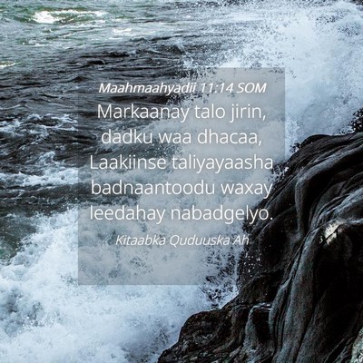 Picture 04 - Maahmaahyadii 11:14 SOM - Markaanay talo jirin, dadku waa dhacaa, Laakiinse - Bible Verse Picture