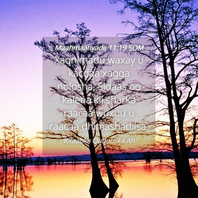 Picture 04 - Maahmaahyadii 11:19 SOM - Xaqnimadu waxay u kacdaa xagga nolosha, Sidaas oo - Bible Verse Picture
