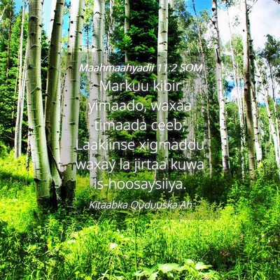 Picture 04 - Maahmaahyadii 11:2 SOM - Markuu kibir yimaado, waxaa timaada ceeb; - Bible Verse Picture