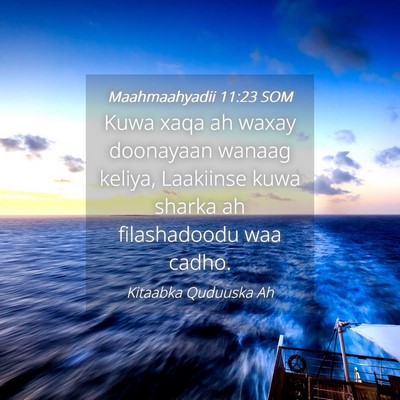 Picture 04 - Maahmaahyadii 11:23 SOM - Kuwa xaqa ah waxay doonayaan wanaag keliya, - Bible Verse Picture