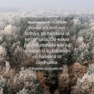 Picture 04 - Maahmaahyadii 11:24 SOM - Waxaa jira mid wax firdhiya, oo haddana sii - Bible Verse Picture