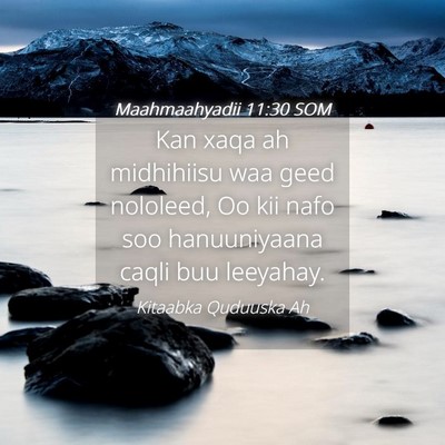 Picture 04 - Maahmaahyadii 11:30 SOM - Kan xaqa ah midhihiisu waa geed nololeed, Oo kii - Bible Verse Picture