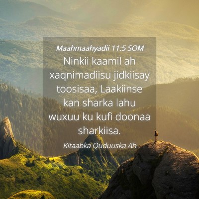 Picture 04 - Maahmaahyadii 11:5 SOM - Ninkii kaamil ah xaqnimadiisu jidkiisay toosisaa, - Bible Verse Picture
